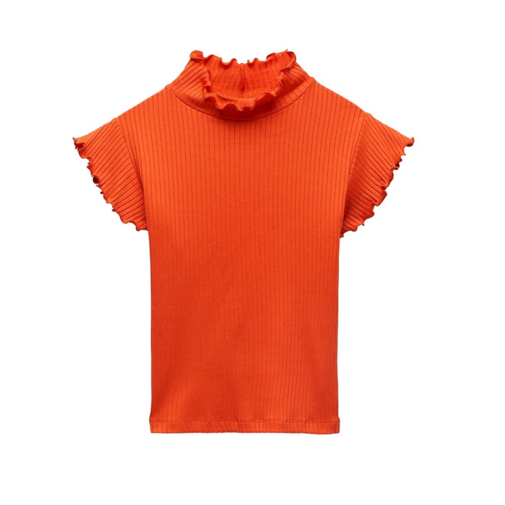 Zara pleated Ruffle Sleeve Top